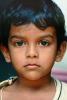 Boy, Male, Face, Sri Lanka