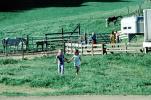Two Girls Walking Hand in Hand, Petaluma Farm, PLPV04P15_13