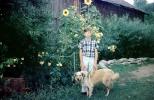 Boy, Dog, Sunflowers, 1960s, PLPV05P07_15