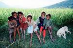Girl, Boys, Smiles, Himalayan Foothills, Nepal, PLPV08P07_16