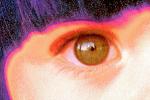 Eyeball, Iris, Lens, Pupil, Eyelash, Cornea, Sclera, skin, eyebrow, PLPV10P15_03