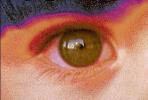Eyeball, Iris, Lens, Pupil, Eyelash, Cornea, Sclera, skin, eyebrow, PLPV10P15_03B