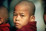 Buddhist boy, face, Bagan, Myanmar, PLPV12P10_11