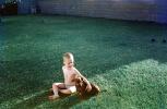 Boy, Dachshund, Wiener Dog, small dog breed, 1950s, PLPV13P11_03