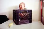 Boy in Box, Toddler, funny, cute, PLPV16P04_13
