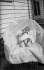 Baby, Sleeping, Girl, Chair, Toddler, 1920's, PLPV17P04_09
