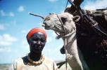 Woman with Camel, Refugee from war, Nomad, Nomadic, Somalia, PORV03P02_04