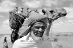 Man with Camel, Refugee from war, Nomad, Nomadic, Somalia, PORV03P02_11BW