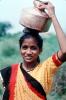 Woman, Girl, Smiles, Sari, Gujarat, PORV07P13_11