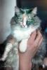 MeYou the Magical Cat, PORV09P09_15B