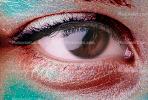 Eyeball, Iris, Lens, Pupil, Eyelash, Cornea, Sclera, skin, eyebrow, PORV16P14_11C