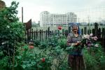 Woman in a Rose Garden, Bucharest, Romania, PORV17P11_03