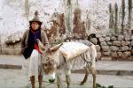 Woman, Donkey, Cuzco, Cusco, Peru, PORV21P02_18