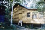 Log Cabin, 1950s, PORV25P06_12