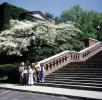 Stairs, Steps, Railing, flowers, spring time, 1970s, PORV26P11_05