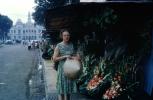 Sidewalk, flowers, Angkor, Cambodia, 1950s, PORV27P04_18