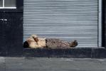 Homeless Man Sleeping, sidewalk, Tenderloin, POUV01P02_15