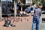 Homeless, Beggar Man, Begging, Pigeons, birds, POUV01P09_08