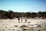 Gathering Wood, Refugee Camp, near the Ethiopia Somalia border, African Diaspora, Desertification, Somalia, POVV01P01_02