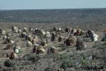 Refugee Camp, near the Ethiopia Somalia border, African Diaspora, Desertification, Sod, POVV01P01_04