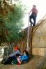 Children, ladder, man, Illegal immigrant, Fence, Wall