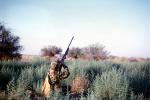 Duck, Hunter, Shooting, Rifle, PRGV01P09_08