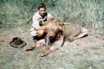 Male Lion, poaching, Poacher, Hunter, poached, Africa, African, 1951, 1950s, PRGV01P10_10