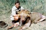 Male Lion, poaching, Poacher, Hunter, poached, Killers, Kill, Killed, Africa, African, 1951, 1950s, PRGV01P10_10B