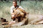 Male Lion, poaching, Poacher, Hunter, poached, Africa, African, 1951, 1950s, PRGV01P10_11B