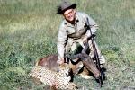 Cheetah poaching, Poacher, Hunter, poached, rifle, African Antelope, Africa, African, 1951, 1950s, PRGV01P10_12B