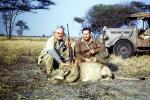 Female Lion, poaching, Poacher, Hunter, poached, rifle, African, Africa, 1951, 1950s, PRGV01P10_14