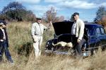 Deer Killing, Car, Automobile, Vehicle, 1950s, PRGV01P11_18