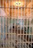 Jail Cell, Alcatraz Island, PRIV01P05_11