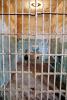 Jail Cell, Alcatraz Island, PRIV01P05_12