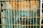 Jail Cell, Alcatraz Island, PRIV01P05_14