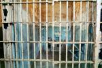Jail Cell, Alcatraz Island, PRIV01P05_15