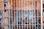 Jail Cell, Alcatraz Island, PRIV01P05_16