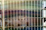 Jail Cell, Alcatraz Island, PRIV01P05_18