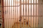 Jail Cell, Alcatraz Island, PRIV01P06_16