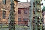 Auschwitz, PRIV01P07_08