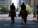 SF Mounted Patrol on Market Street, PRLD01_008