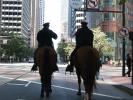 SF Mounted Patrol on Market Street, PRLD01_009