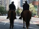 SF Mounted Patrol on Market Street, PRLD01_010