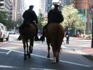 SF Mounted Patrol on Market Street, PRLD01_011