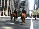 SF Mounted Patrol on Market Street, PRLD01_012