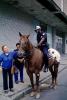 Eva Krutein Petting a Horse, mounted police, PRLV01P07_05