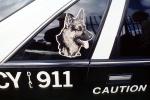 squad car, Canine Unit, K-9, PRLV02P15_06