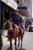 Mounted Police, PRLV04P04_19