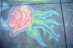 Rose, Chalk Painting, Sidewalk, 2nd Iraq War Protest Rally, Crowds, Protesting War, PRSV07P14_08
