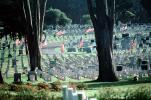 Memorial Day, Gravestones, Tombstone, gravesite, Graveyard, Gravestone, headstone, marker, PTGV01P03_03